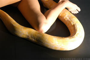 Andrew Blake Porn Snake - Andrew Blake Valentinas Snake 151332 - Good Sex Porn
