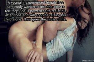 interracial public breeding - Breeding Gifs @ xGifer.com