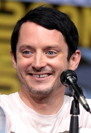 elijah wood cartoon porn - Wood at the 2017 San Diego Comic-Con