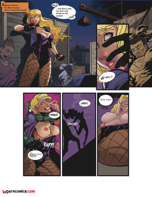 Black Canary Porn Comic - â„¹ï¸ Porn comics Pieexpress. Black Canary. Ravished Prey Erotic comic He  decided to â„¹ï¸ | Porn comics hentai adult only | comicsporn.site