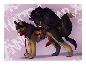 Furry Porn Feral 2016 - 