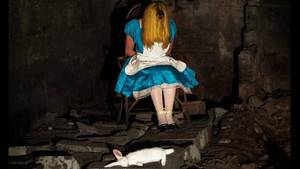 Disney Fairies Bugs Porn - asylum-art: â€œFrom Enchantment to Down by Thomas Czarnecki We all love a  good fairy tale - but what if Snow White ended up dead in an underground  car park ...