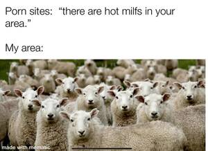 Funny Memes Milf Porn - The best Milf memes :) Memedroid