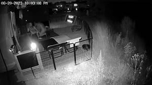 free porn security cameras - Free Security Cameras Porn Videos - Beeg.Porn