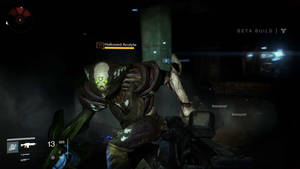 Destiny Game Eris Hive Porn - acolyte