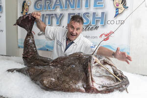 Monster Fish Porn - Monster 9st fish with terrifying teeth netted off coast of Scotland â€“ The  Scottish Sun | The Scottish Sun