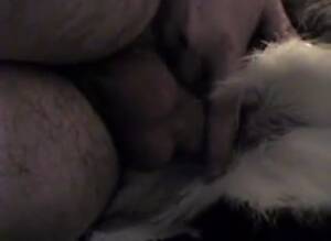 Deer Bestiality Porn - Oh Deer 2 Gaybeast - Beastiality Porn - Katitube Kinky Sex