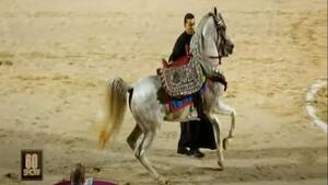 Hairy Pussy At Nudist Colony - Horse Literature.. Folk Equestrian - Ù…ÙˆÙ‚Ø¹ Ø§Ù„Ø®ÙŠÙ„ Ø¯ÙˆØª ÙƒÙˆÙ…