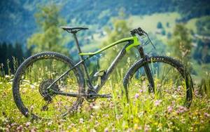 Lapierre 3d Porn - Lapierre ProRace 2018 im ersten Test: XC-Race Hardt(r)ail mit