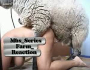 Gay Sheep Porn - Gay fuck sheep - Extreme Porn Video - LuxureTV