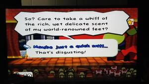Nintendo Feet Porn - WHT NINTENDO THIS IS WHY PEOPLE HAVE FEET FETISHIS!!! : r/papermario