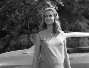 Elizabeth Montgomery Animated Porn - Bewitched
