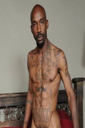 famous large cocks - All About Pornstar