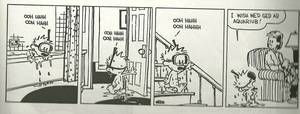 Calvin And Hobbes Comics - How ...