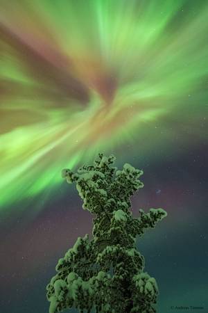 Aurora Sky Porn - Untitled by Andreas Tiensuu on 500px Â· Aurora SkySky ...