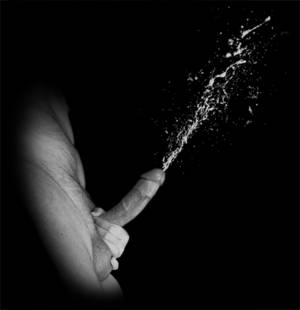 Accidental Cum - WPcms