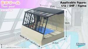 Japanese Pool Porn - That Pool\