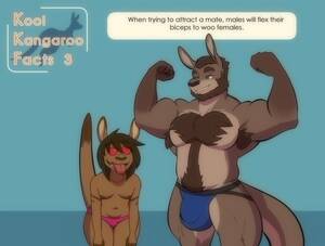 kangaroo cartoon sex fuck - Kool kangaroo facts comic porn | HD Porn Comics