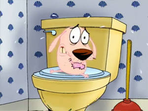 Cartoon Shaving Porn - Cartoon Network \