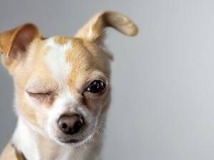 Doggie Sex Work - 12 Thoughts Every Girl Has During Doggy Style | Women's Health