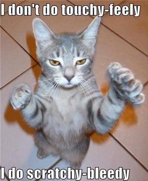 Furry Porn Dragon Captions Eggs - Funny Animal Pictures Of The Day â€“ 16 Pics