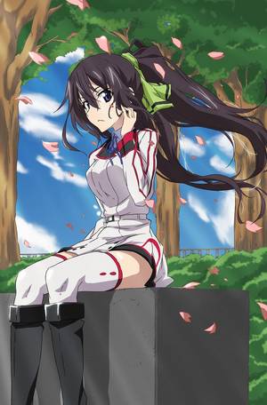 Cat Costume Infinite Stratos Porn - Houki Shinonono - Infinite Stratos