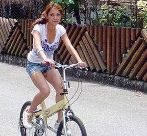 Bike Dick - Advertisements