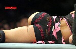 Hot Mickie James Porn - 30 Hot Photos Of Mickie James WWE Fans Need To See | PWPIX.net