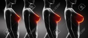 c-sized boobs - Woman breast size comparison B,C,D,E Stock Photo - 16586718