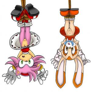 bunny furry porn upskirt panties - Xbooru - amy rose anthro bdsm beige fur bondage boots bound bracelet brown  eyes clothing cream the rabbit cub embarrassing female furry gloves green  eyes hairband hanging hedgehog jewelry lagomorph looking at