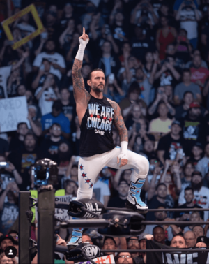 Cm Punk Gay Porn - Pro Wrestler CM Punk Gives Speech Supporting the LGBTQ+ Community â€¢  Instinct Magazine