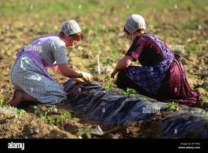 Mennonite Women Porn - Mennonite women hi-res stock photography and images - Alamy