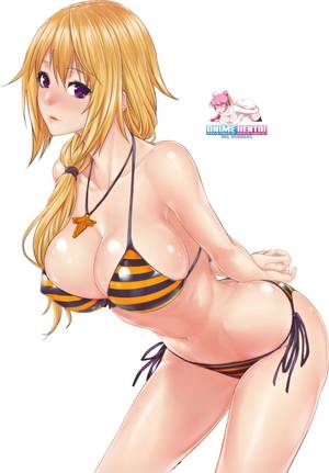 Cat Costume Infinite Stratos Porn - Infinite Stratos - Charlotte Dunois Render 40