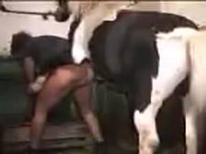 Fantasy Bestiality Porn - Pretty Slut Living Out Her Wildest Fantasies with Bestiality! - Animal Sex  XXX - Watch Animal Sex Free
