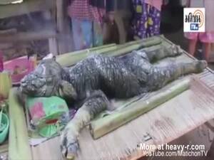Man Fucks Female Alligator - Crocodile Pussy Videos - Free Porn Videos