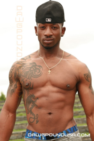 Dawgpoundusa Porn Dl - BRANDEN'S FAVORITE THINGS â€” Porn Star Picks: Rio