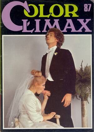 blowjob vintage wedding - Color Climax 87 Â» Vintage 8mm Porn, 8mm Sex Films, Classic Porn, Stag  Movies, Glamour Films, Silent loops, Reel Porn