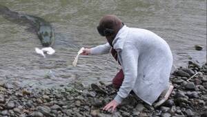 Alt Porn Eels - An Irish family noticed that their sheep were being attacked so they set  out poison to kill the dogs attacking them. Eels then ate the dogs and  died. The eels measured up