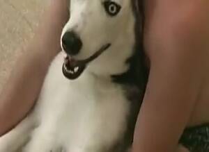 Man Fucks Female Siberian Husky - Girl Husky Gay Beast Com - Beastiality Porn Movie With Man - Extrem Sex and  Taboo Porn.