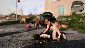 Fallout 4 Porn Bestiality - Fallout 4 Dogmeat 1girl Animated - Lewd.ninja