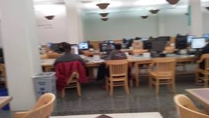 Chicago Public Porn - Dirty Creepball watching porn in Chicago Public Library crowded! Wtf?