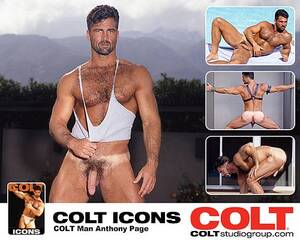 Anthony Page Porn - Any fan of the infamous COLT Hairy Chested Men brand is probably very  familiar with iconic COLT Man Anthony Page. A generous amount of dark fur  accents his ...