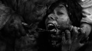 Human Cent Porn - ... Human Centipede 2 15