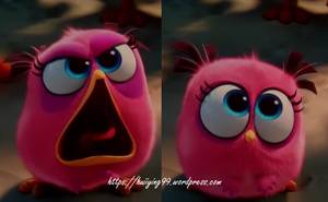 Angry Birds 2016 Gay Porn - showing images for angry birds pink bird www nopeporn com