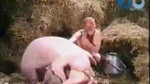 fat pig cum - pig zoo sex