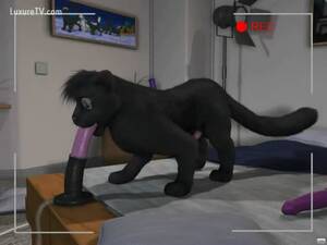 Cat Dildo Porn - Creative high-quality cartoon video featuring a cat riding a big dildo -  LuxureTV