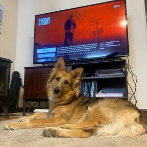 Ciara Bravo Porn Ass - ciara bravo (@ciarabravo) / X