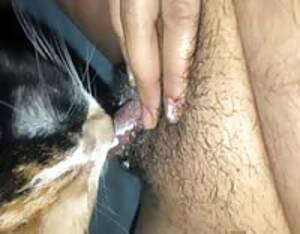Fingering Cat Porn - Fingering my cat - Extreme Porn Video - LuxureTV