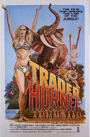1960s Porn Movie Titles - The Golden Age of Porn, the most memorable vintage adult movie posters. |  Savage Thrills
