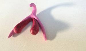 3d Giant Cock Tiny Girl Porn - How a 3D clitoris will help teach French schoolchildren about sex